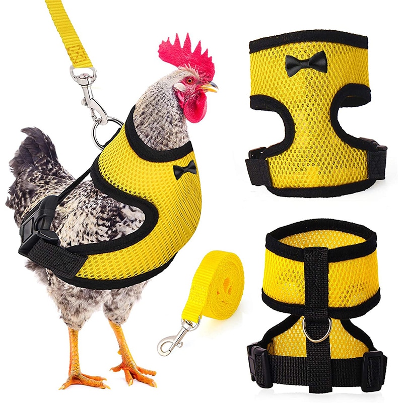 we've had chicken arms, now get ready for, a chicken leash! : r